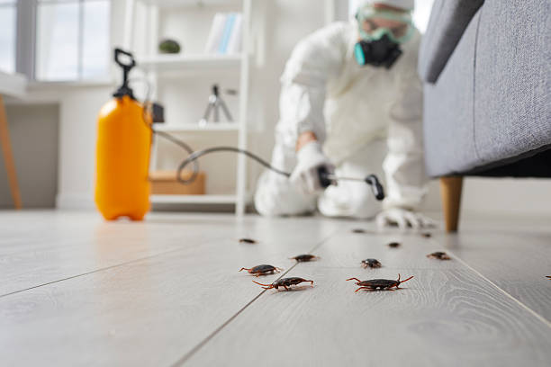 Trusted Cockroach Control service in Bellevue, PA - Nex Pest Control